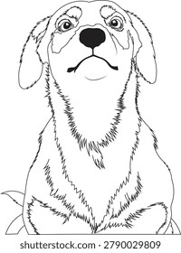 A detailed hand-drawn vector line art illustration of a cute puppy looking up, perfect for coloring books, clip art, and creative design projects.