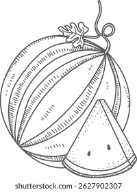 Uma melancia desenhada à mão detalhada com uma fatia em estilo de arte de linha. O fruto é retratado com linhas intrincadas e uma superfície texturizada. Ilustração de vetor de desenhos animados.