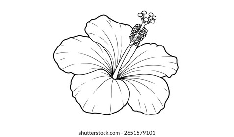 Coloração de hibisco detalhada imprimível com foco na forma de flor intrincada e no estilo longo notável