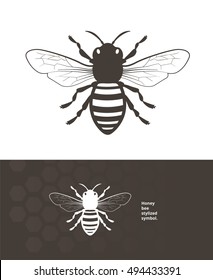 Detailed honey bee vector illustration for product label.