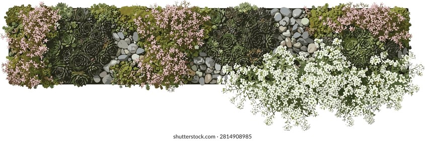 Detailed horizontal garden arrangement featuring succulents, blooming flowers, and river stones. Perfect for landscape architecture site plans, garden center branding, and botanical-themed graphic design projects.