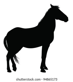 Detailed horse silhouette. Vector eps8