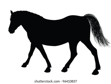 Detailed horse silhouette. Vector eps8