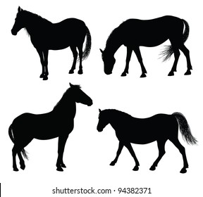 Detailed horse silhouettes collection 7000x6329. Vector eps8