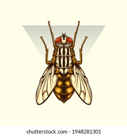 Detailed house fly illustration. Vector, Isolated, Hand drawn graphic. Bold and colorful for any purpose.