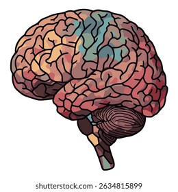 Detailed Human Brain Illustration Psychology Neurology Concept