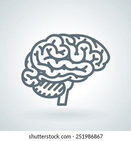 Detailed Human Brain Line Icon