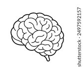 Detailed Human Brain Vector Illustration, Neuroscience Brain Diagram Vector.