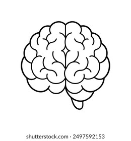 Detailed Human Brain Vector Illustration, Neuroscience Brain Diagram Vector.