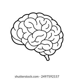 Detaillierte Vektorgrafik des menschlichen Gehirns, Neurowissenschaftlicher Gehirndiagramm-Vektor.