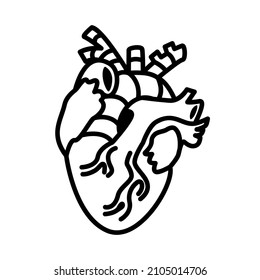 Detailed Human Heart Anatomy Outline Icon Vector Illustration