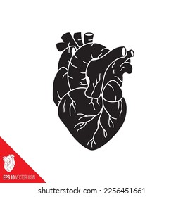 Icono detallado de glifos vectores de corazón humano