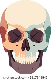Detailed human skull front view illustration with simplified anatomical features. Ideal for medical, educational, biology, healthcare, science, and anatomy-related projects