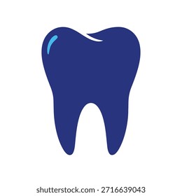 Ilustración vectorial detallada de la anatomía del diente humano. Perfecto para clínicas dentales, educación odontológica e higiene bucal. Diseño plano aislado sobre fondo blanco.
