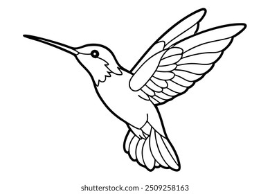 Detailed humming bird illustration, ideal for nature-themed designs, decor, and artistic projects.