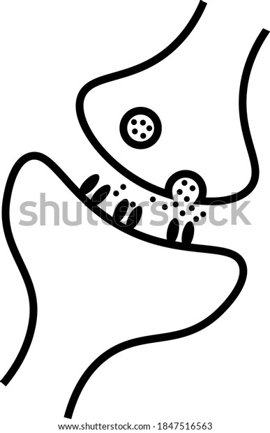 Detailed icon of a
synapse in black and
white.