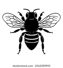 Detailed illustration of a bee showcasing its wings. Bee black silhouette vector illustration.