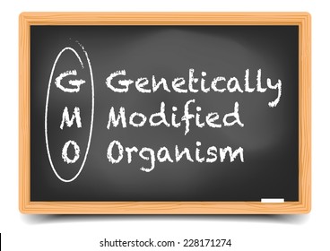 detailed illustration of a blackboard with GMO Term Explanation, eps10 vector, gradient mesh included