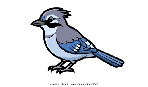Detailed illustration blue jay