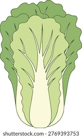 A detailed illustration of a bok choy cabbage, showcasing its light green leaves and white stalks, perfect for culinary or educational content.