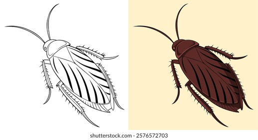 Detailed Illustration of a Cockroach in Both Outline and Colored Variants