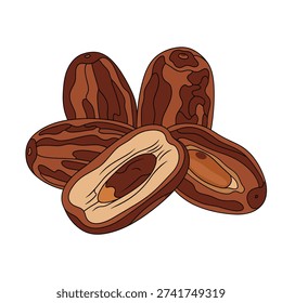 Detailed illustration of dates, showcasing their rich brown color, wrinkled texture, and sweet, caramel-like flavor. A healthy and delicious snack.