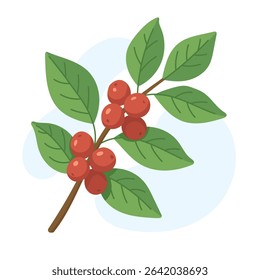 A detailed illustration depicts a coffee branch showcasing ripe red berries and vibrant green leaves, highlighting the beauty of coffee cultivation.