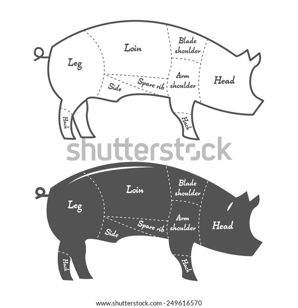 Detailed Illustration Diagram Scheme Chart Pork Stock Vector (Royalty ...