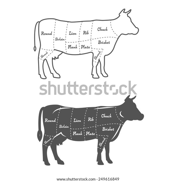 Detailed Illustration Diagram Scheme Chart American Stock Vector ...