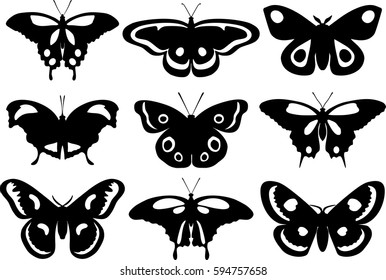 Detailed illustration different silhouettes butterflies isolated in flat style on white background. Collection of butterflies.