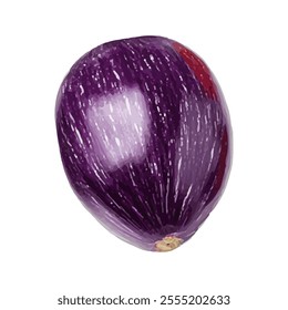 A detailed illustration of an eggplant, showcasing its smooth, glossy surface and vibrant color.