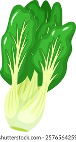 Detailed illustration of a fresh, green bok choy with lush leaves and crisp stalks. Perfect for depicting healthy eating, Asian cuisine, or vegetarian lifestyle concepts