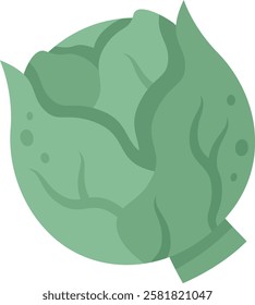 Detailed illustration of a fresh, green cabbage showcasing its lush, leafy texture. Ideal for culinary, agricultural, or health related themes, emphasizing natural and organic produce