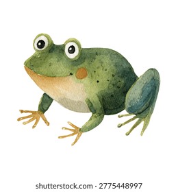 Detailed illustration of green frog