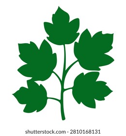 A detailed illustration of a green plant with multiple leaf shapes, showcasing natural foliage and plant diversity.