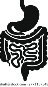 Detailed illustration of the human digestive system in black silhouette on a clean white background, showcasing stomach, intestines, and other organs