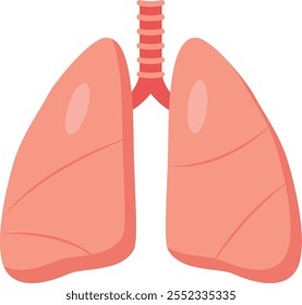 Ilustração detalhada de pulmões humanos e sistema respiratório, enfatizando respiração saudável para o bem-estar. Mostra a traqueia aos alvéolos, vital para a boa saúde