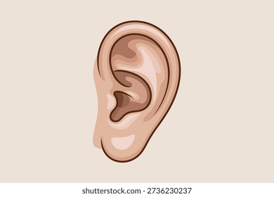 Detailed illustration of the human outer ear, highlighting its anatomical structure. Ideal for medical or educational content.