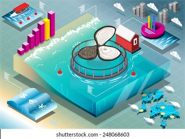 Detailed illustration of a Isometric Infographic of Breeding Oysters 
