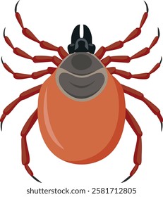 A detailed illustration of an  Ixodes species tick, highlighting its distinct features.