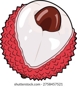 A detailed illustration of a lychee fruit, showcasing its textured red rind, translucent white flesh, and dark brown seed.
