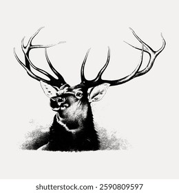 Detailed illustration of a majestic elk with large antlers. The elk's antlers are prominently featured, showcasing the elk's impressive antlers in a classic style. Vintage animal illustration vector.