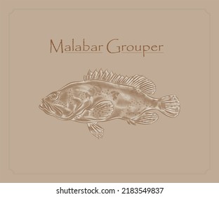 Detailed Illustration of Malabar grouper Fish with highlights.