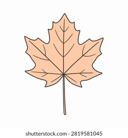A detailed illustration of a maple leaf showcasing intricate vein patterns and natural autumn colors, emphasizing its delicate structure and seasonal beauty.