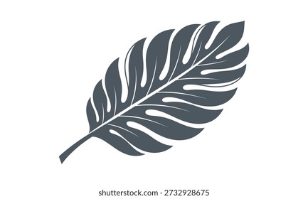 A detailed illustration of a Monstera leaf with distinctive holes and tears, against a plain white background.