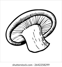A detailed illustration of a mushroom with a broad cap and a thick stem. The lines are bold and clear, emphasizing the mushroom's structure.