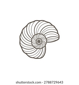 Detailed illustration of a nautilus shell with spirals
