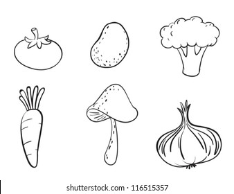 detailed illustration on various vegetables on a white background