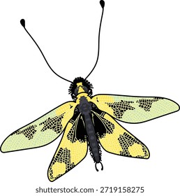 Una ilustración detallada de un Owlfly, Ascalaphus macaronius.