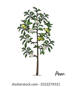 A detailed illustration of a Pear Tree. wildlife nature isolated. Tree illustration collection. Ideal for wildlife, nature-themed designs, or educational content focusing on wild animals and ecosystem